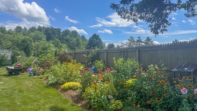 landscaping-backyard-garden-curb-640x480-97773633.jpeg