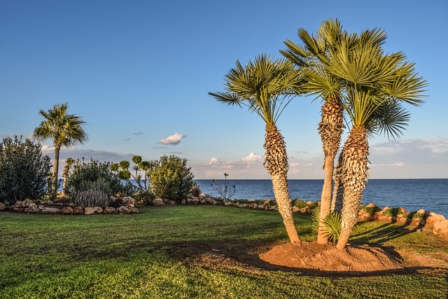 landscaping, garden