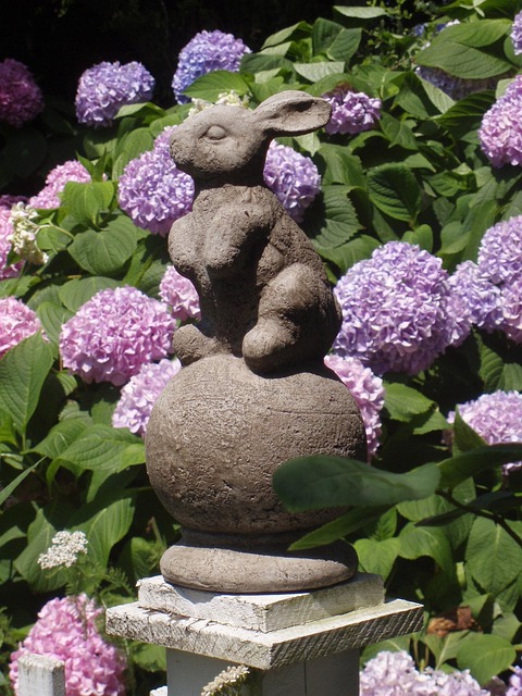landscaping, garden