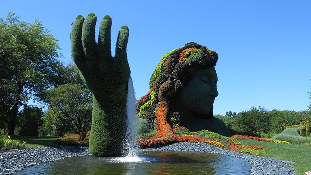 landscaping, garden