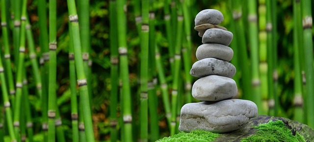 landscaping, garden