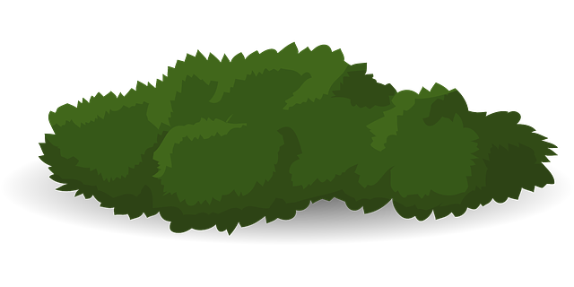 landscaping, garden