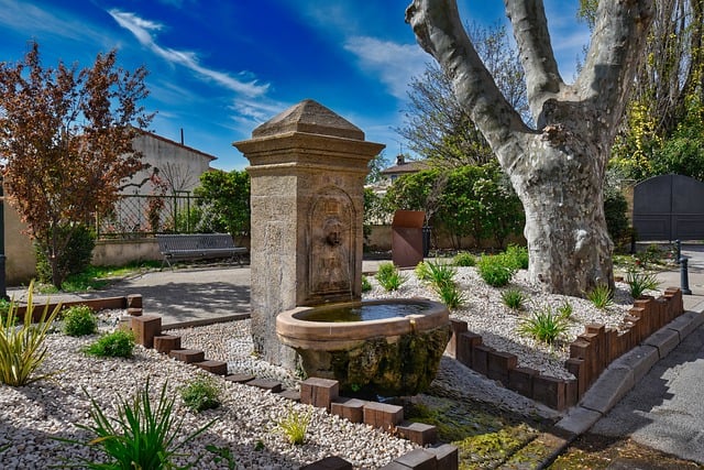 Designing Pet-Safe Outdoor Havens: Comfortable Spaces for Both Pets and Owners