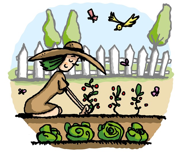 landscaping, garden
