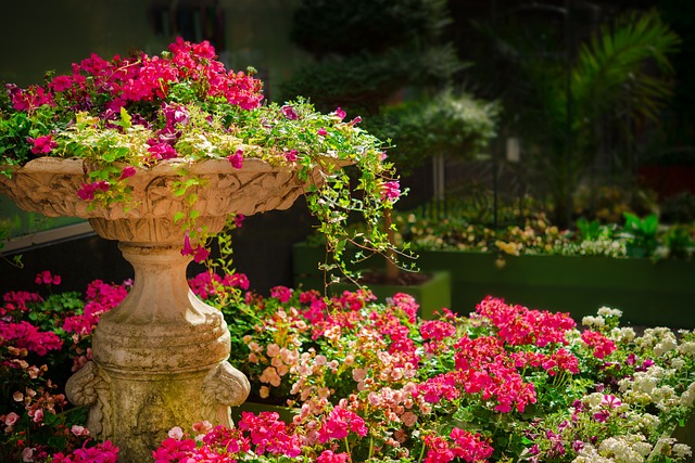 landscaping, garden