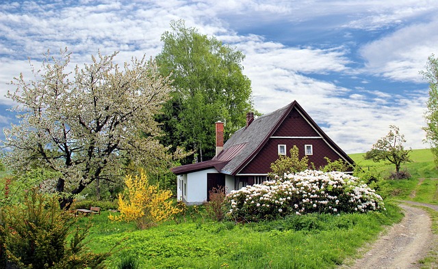 landscaping-garden-640x480-98938942.jpeg