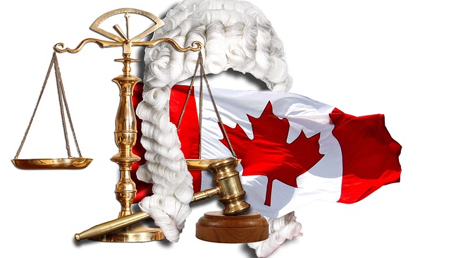 law, lawyer, courtroom