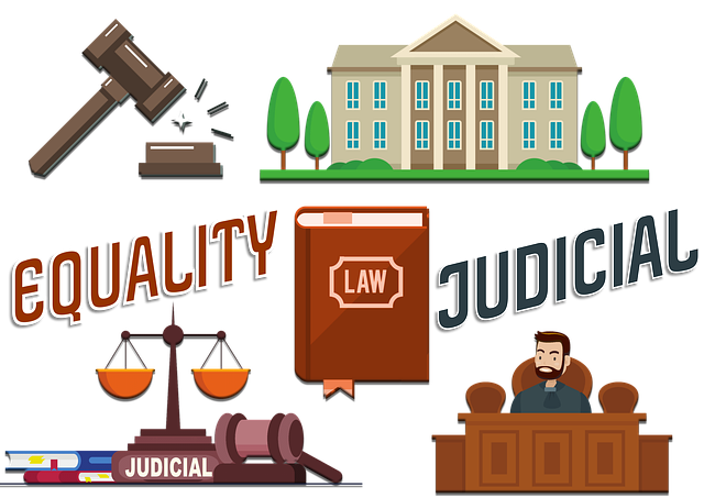 law, lawyer, courtroom
