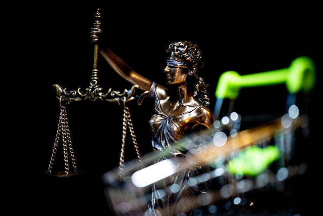 law, lawyer, courtroom
