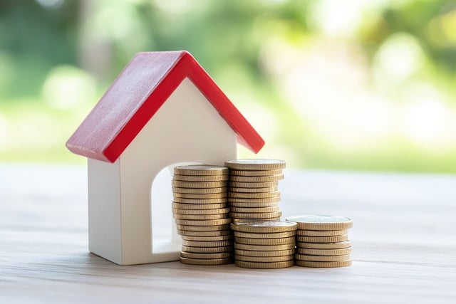 law, lawyer, wealth, properties