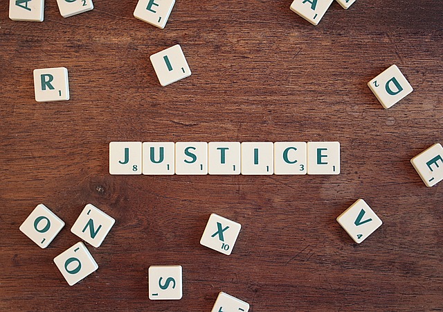 law, lawyer, wealth, properties