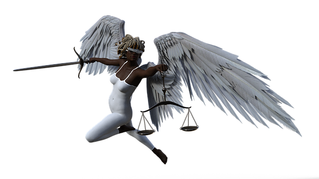 law, lawyer, wealth, properties