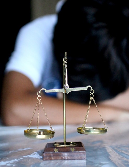 law, lawyer, wealth, properties