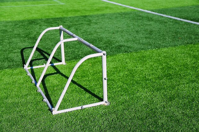 lawn