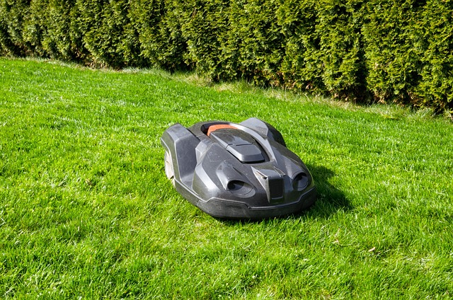 lawn-640x480-22180816.jpeg