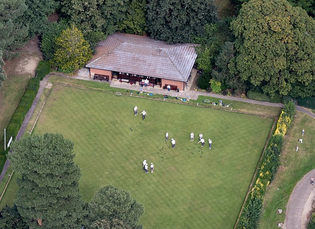 lawn