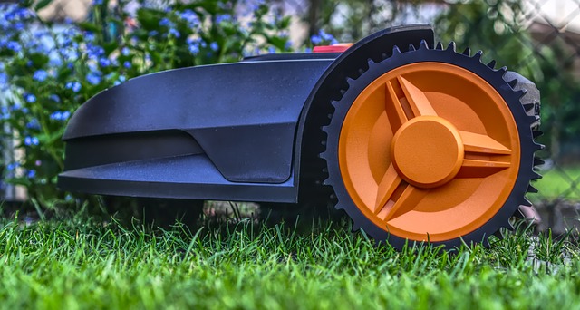 lawn