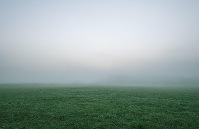 lawn-640x480-25481905.jpeg