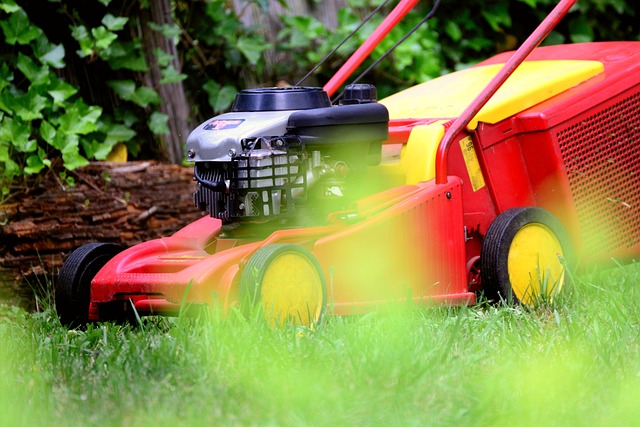 lawn