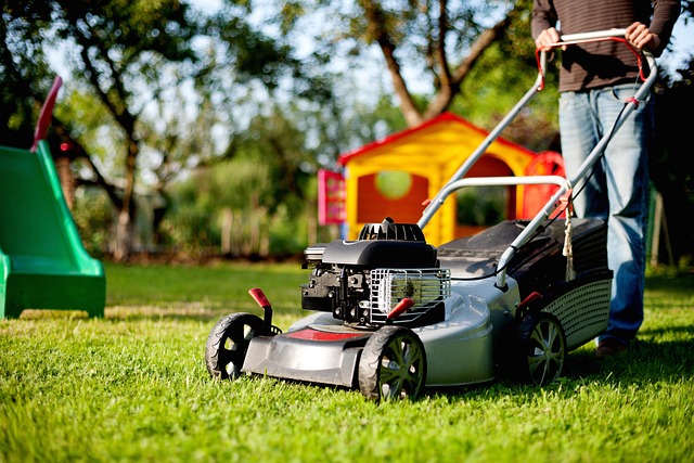 lawn