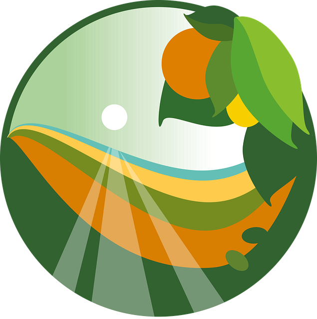 lawn-640x480-30008379.png