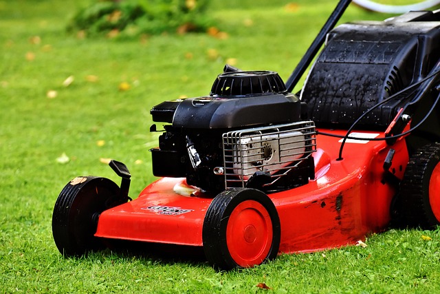 lawn