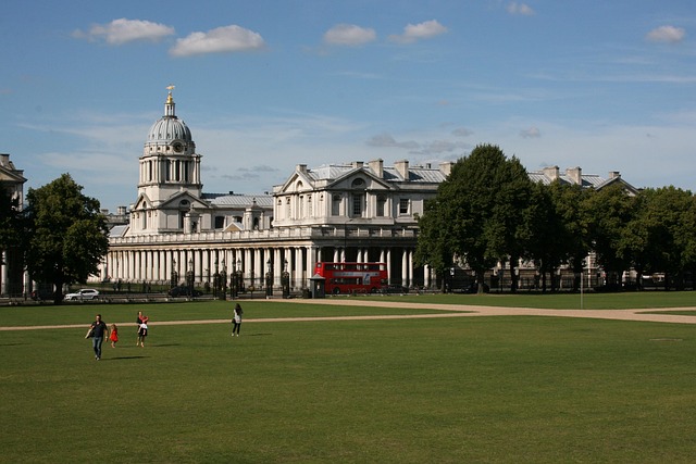 lawn