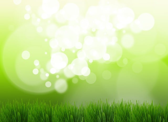 lawn-640x480-35080190.jpeg