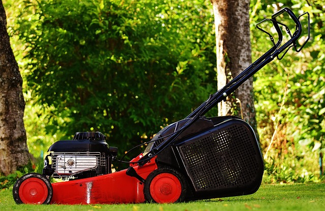 lawn-640x480-3812163.jpeg