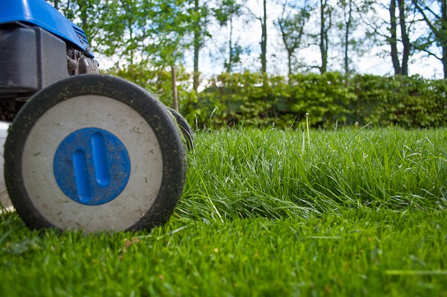 lawn-640x480-39957939.jpeg