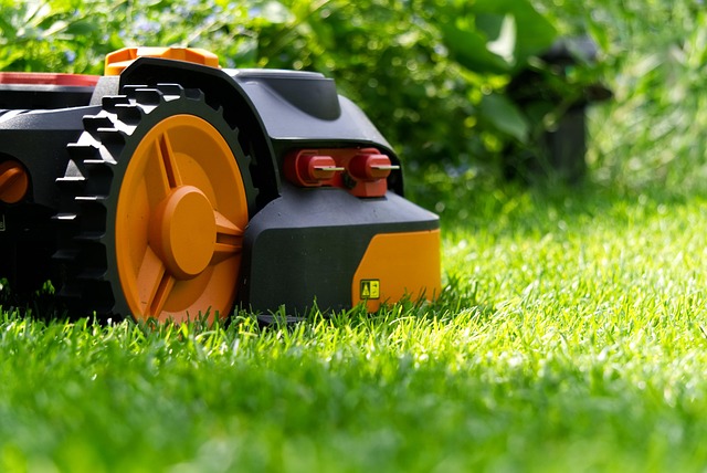 lawn