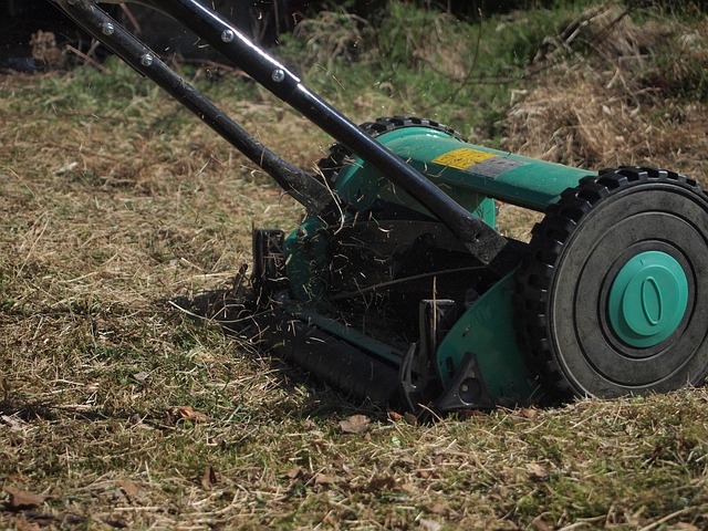 Year-Round Lawn Maintenance: Comprehensive Solutions for Healthy Greens