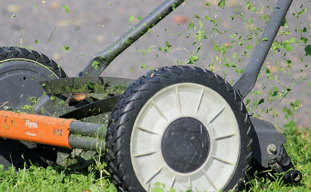 Mastering Lawn Weed Control: Comprehensive Strategies for Healthy Yards
