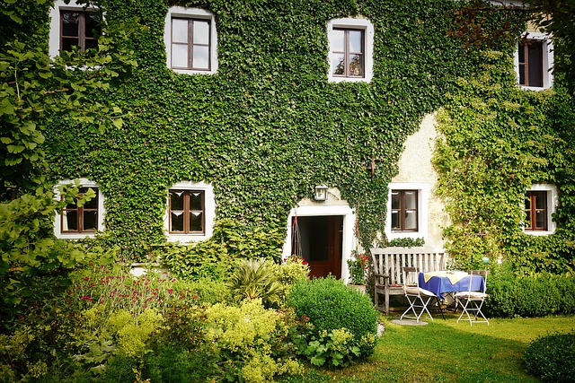lawn