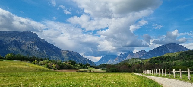 Year-Round Lawn Care: Expert Strategies for Lush Greens