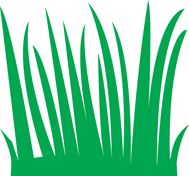 lawn-640x480-77969724.png