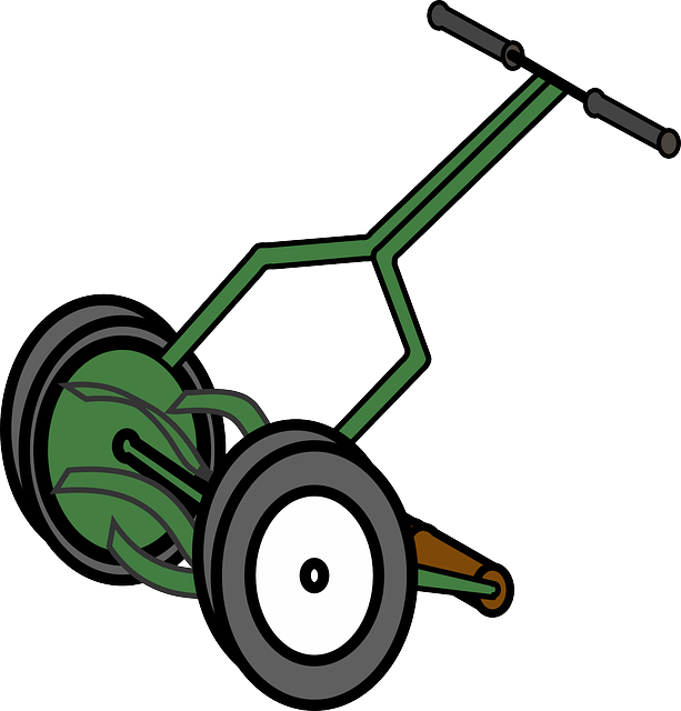 lawn-640x480-80480107.png