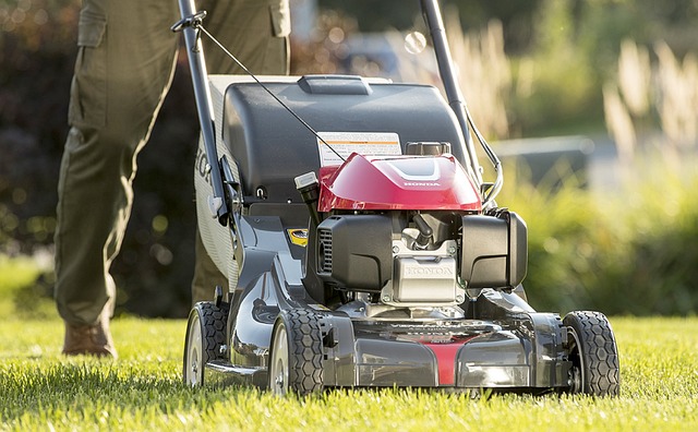 lawn