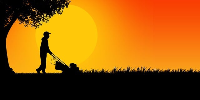 Crafting Optimal Lawn Pest Management: Customized Treatment Plans