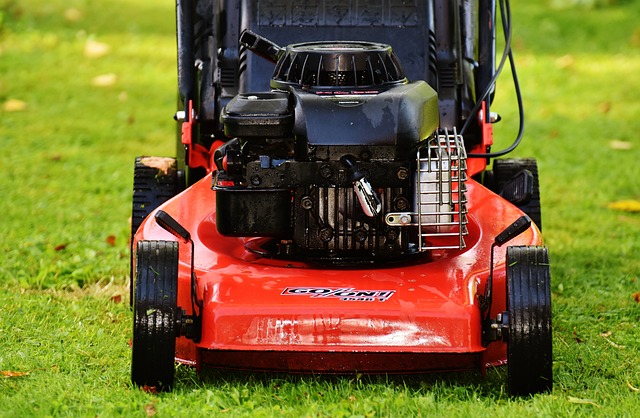 lawn-640x480-95226796.jpeg