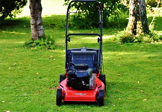 lawn-640x480-99275626.jpeg