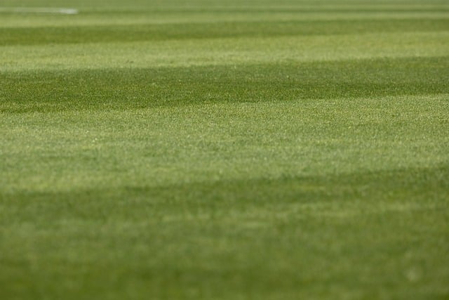lawn-care-640x480-20042113.jpeg