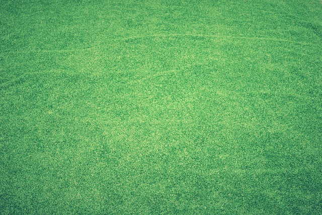 Lawn Care
