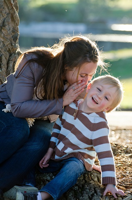 Secure Your Legacy: Crafting a Legally Sound Will with an Estate Lawyer