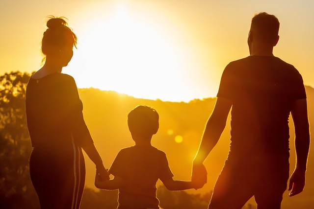lawyer, family, asset, inheritance