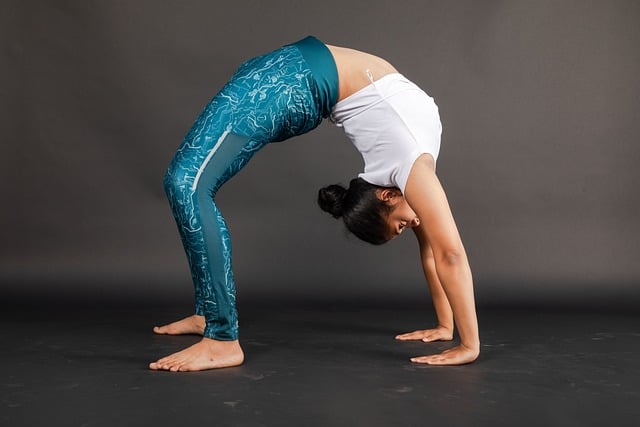 lifestyle coach, exercise, wellness