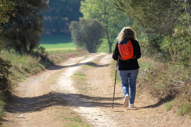 lifestyle coach, exercise, wellness