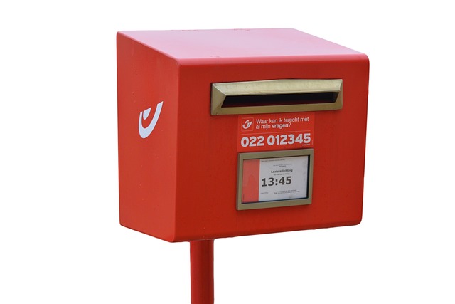 Elevate Your Mailbox: Custom Designs for Personal Touches