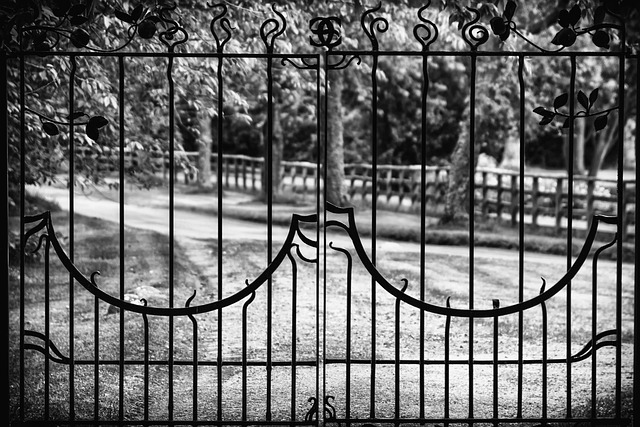 metal door, metal gate, metal windows, metal fixtures