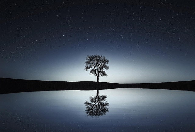 mirror-640x480-12225158.jpeg